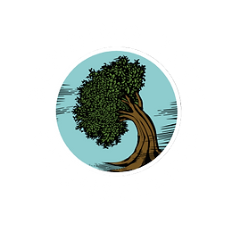 Bending Tree Counselling